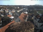 Archiv Foto Webcam Storchennest Bad Waldsee 11:00