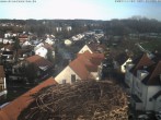 Archiv Foto Webcam Storchennest Bad Waldsee 13:00