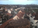 Archiv Foto Webcam Storchennest Bad Waldsee 15:00