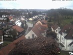 Archived image Webcam Stork&#39;s Nest Bad Waldsee 07:00