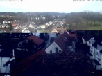 Archived image Webcam Stork&#39;s Nest Bad Waldsee 15:00