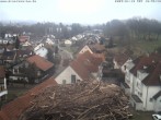 Archiv Foto Webcam Storchennest Bad Waldsee 09:00