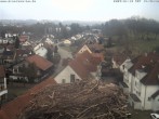 Archived image Webcam Stork&#39;s Nest Bad Waldsee 13:00