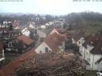 Archived image Webcam Stork&#39;s Nest Bad Waldsee 15:00