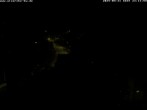 Archiv Foto Webcam Storchennest Bad Waldsee 00:00