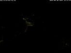 Archiv Foto Webcam Storchennest Bad Waldsee 23:00