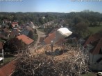Archived image Webcam Stork&#39;s Nest Bad Waldsee 11:00