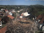 Archived image Webcam Stork&#39;s Nest Bad Waldsee 13:00
