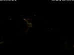 Archiv Foto Webcam Storchennest Bad Waldsee 23:00
