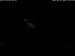 Archiv Foto Webcam Storchennest Bad Waldsee 23:00