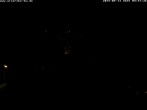 Archiv Foto Webcam Storchennest Bad Waldsee 03:00