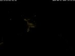 Archiv Foto Webcam Storchennest Bad Waldsee 23:00
