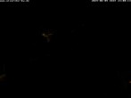 Archiv Foto Webcam Storchennest Bad Waldsee 21:00