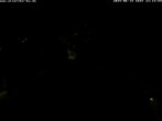 Archiv Foto Webcam Storchennest Bad Waldsee 23:00