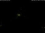 Archiv Foto Webcam Storchennest Bad Waldsee 23:00