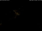 Archiv Foto Webcam Storchennest Bad Waldsee 23:00