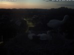 Archiv Foto Webcam Storchennest Bad Waldsee 03:00