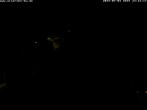 Archiv Foto Webcam Storchennest Bad Waldsee 23:00