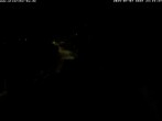 Archiv Foto Webcam Storchennest Bad Waldsee 23:00