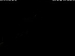 Archiv Foto Webcam Storchennest Bad Waldsee 03:00