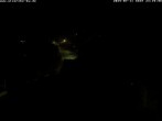 Archiv Foto Webcam Storchennest Bad Waldsee 23:00
