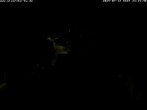 Archiv Foto Webcam Storchennest Bad Waldsee 23:00