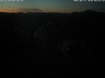 Archiv Foto Webcam Storchennest Bad Waldsee 03:00