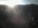 Archiv Foto Webcam Storchennest Bad Waldsee 06:00