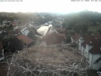 Archiv Foto Webcam Storchennest Bad Waldsee 05:00