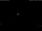 Archiv Foto Webcam Storchennest Bad Waldsee 23:00