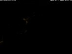 Archiv Foto Webcam Storchennest Bad Waldsee 03:00