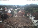 Archiv Foto Webcam Storchennest Bad Waldsee 05:00