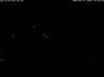 Archiv Foto Webcam Storchennest Bad Waldsee 23:00