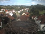 Archiv Foto Webcam Storchennest Bad Waldsee 15:00