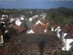 Archived image Webcam Stork&#39;s Nest Bad Waldsee 17:00