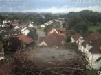 Archiv Foto Webcam Storchennest Bad Waldsee 07:00