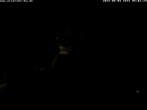 Archiv Foto Webcam Storchennest Bad Waldsee 03:00