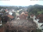 Archiv Foto Webcam Storchennest Bad Waldsee 05:00
