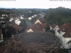 Archiv Foto Webcam Storchennest Bad Waldsee 19:00