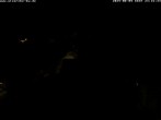 Archiv Foto Webcam Storchennest Bad Waldsee 23:00