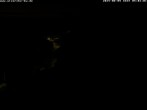 Archiv Foto Webcam Storchennest Bad Waldsee 03:00