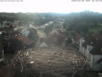 Archiv Foto Webcam Storchennest Bad Waldsee 07:00