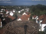 Archiv Foto Webcam Storchennest Bad Waldsee 17:00