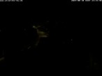Archiv Foto Webcam Storchennest Bad Waldsee 23:00