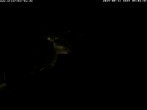 Archiv Foto Webcam Storchennest Bad Waldsee 03:00