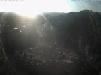 Archiv Foto Webcam Storchennest Bad Waldsee 06:00