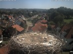 Archiv Foto Webcam Storchennest Bad Waldsee 11:00