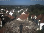 Archiv Foto Webcam Storchennest Bad Waldsee 17:00