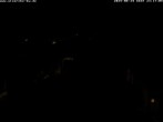 Archiv Foto Webcam Storchennest Bad Waldsee 23:00