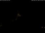 Archiv Foto Webcam Storchennest Bad Waldsee 03:00
